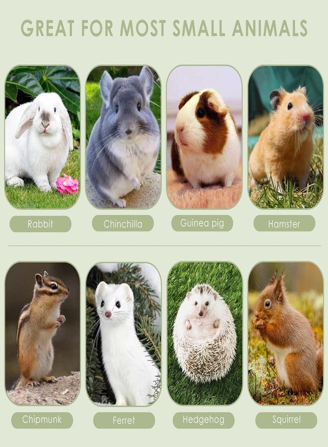 ERKOON Chinchilla Treats, Chew Toys for Teeth for Rabbit Guinea Pig Gerbil Rat Dwarf Hamster(Small Size) - Image 4